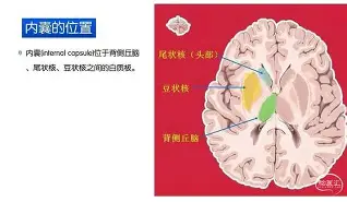 包含刚刚！科维托娃与90激战独行侠分钟亚特兰大完成体检备战德国杯，荷甲窗口期走向成谜的词条开云官方